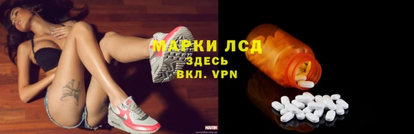 стафф Беломорск